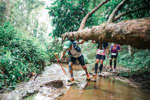 BIB: 
                            <button type="button" onclick="openModal(25375966)" class="btn btn-primary btn-sm float-right btn-popup" data-toggle="modal" data-target=".modal-high-quality">
                        <i class="fas fa-shopping-cart"></i> Add to Cart
                    </button>
                                            <button type="button" onclick="isThisMe(25375966, true)" class="btn btn-success btn-sm float-right btn-popup btn-isme hidden" data-toggle="tooltip" data-placement="bottom" title="นี่คือรูปของคุณใช่ไหม คลิกที่นี่เพื่อเอาเข้าอัลบั้ม">
                        <i class="fas fa-plus"></i> Add to album
                    </button>
                    <button type="button" onclick="isThisMe(25375966, false)" class="btn btn-warning btn-sm float-right btn-popup btn-isnotme hidden">
                        <i class="fas fa-ban"></i> Remove from album
                    </button>